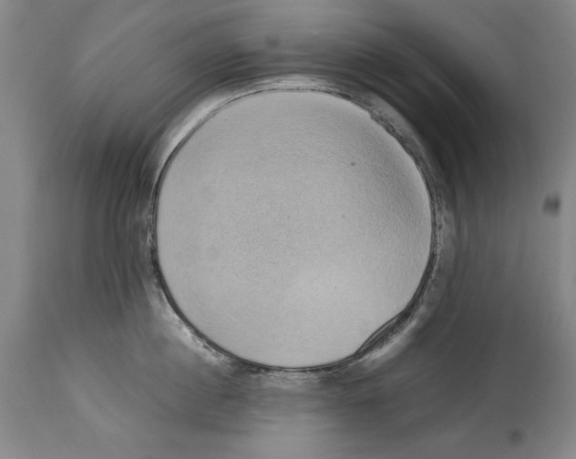 X0000113930860200911061217