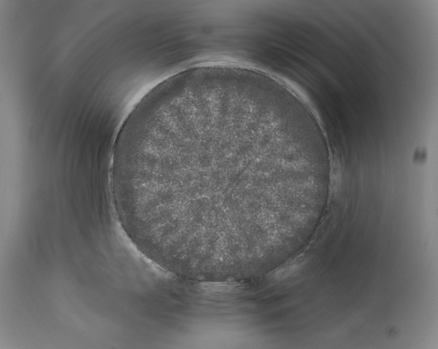 X0000113930863200911061217