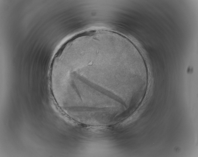 X0000113930864200911061217