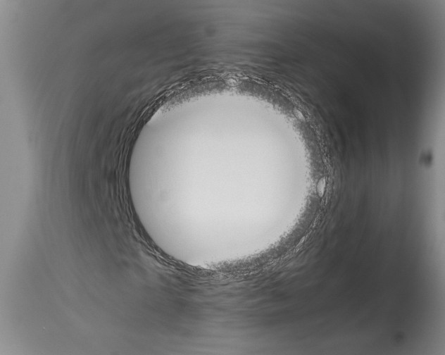 X0000113930865200911061217