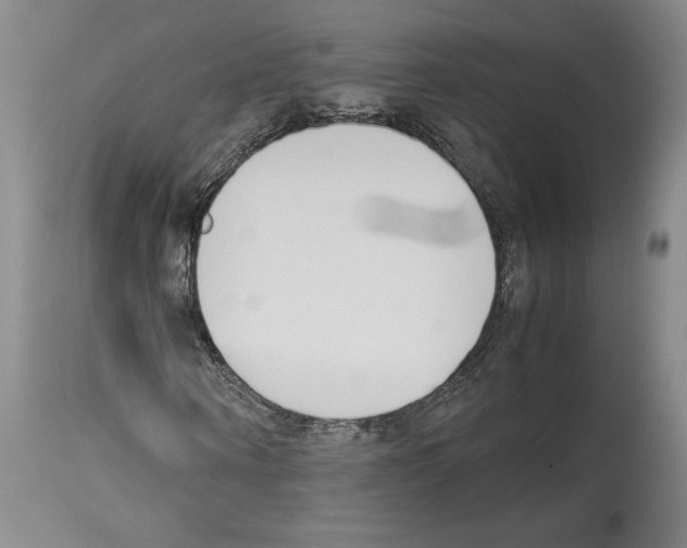 X0000113930866200911061217