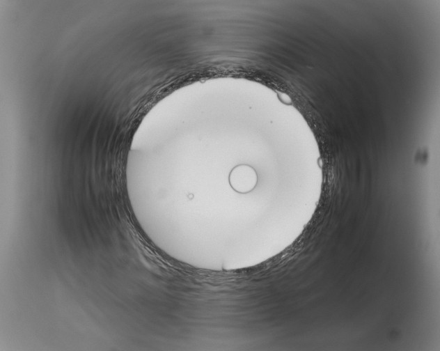 X0000113930868200911061217