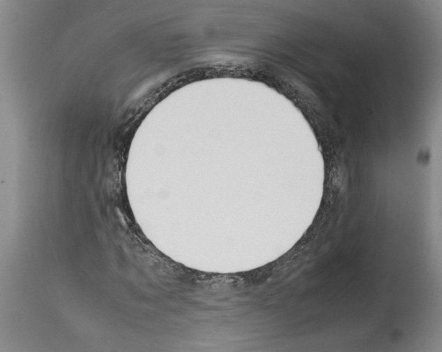 X0000113930869200911061217