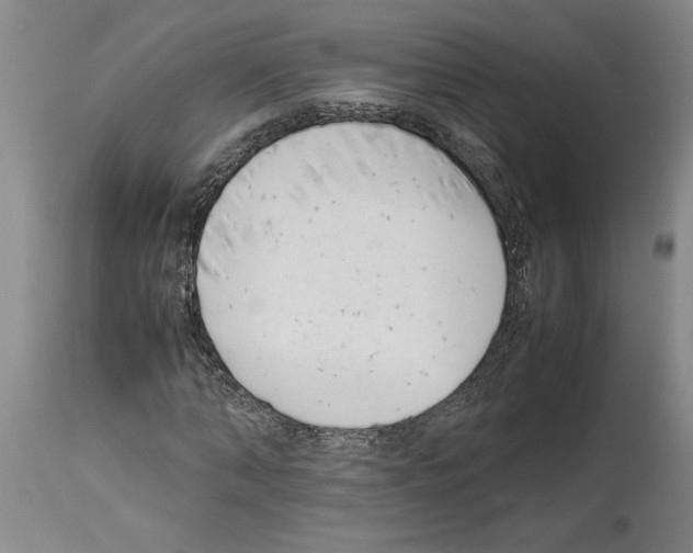 X0000113930870200911061217