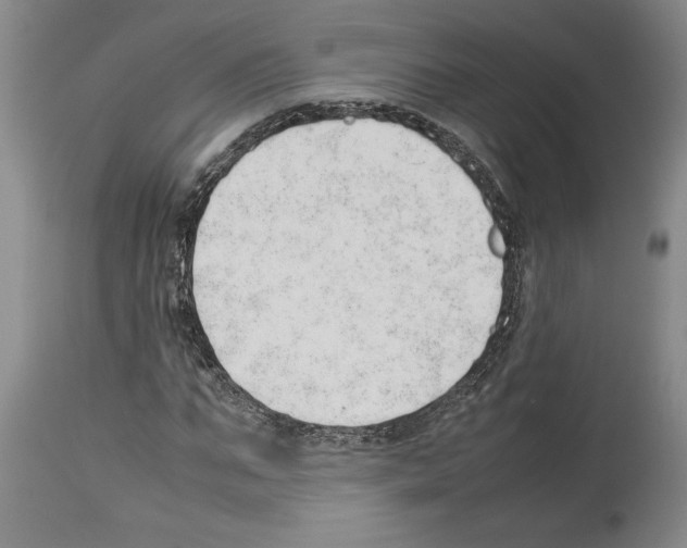 X0000113930871200911061217
