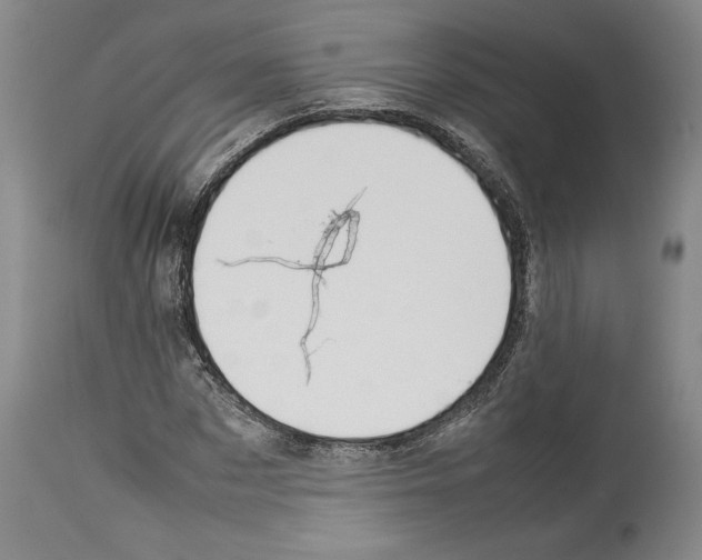 X0000113930873200911061217