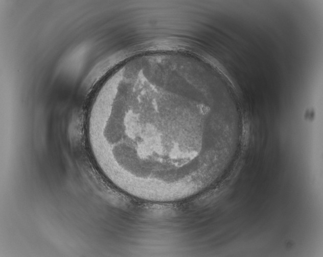 X0000113930874200911061217