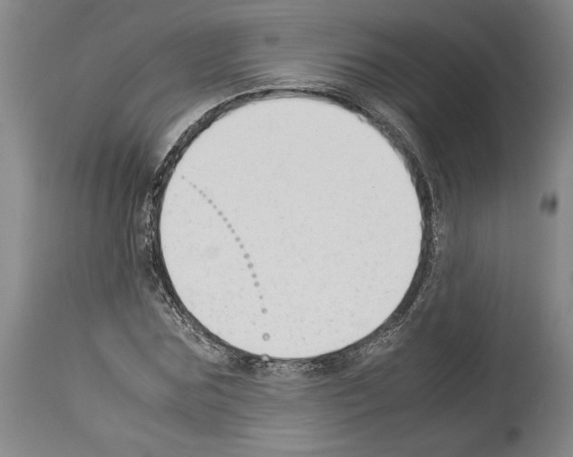 X0000113930875200911061217