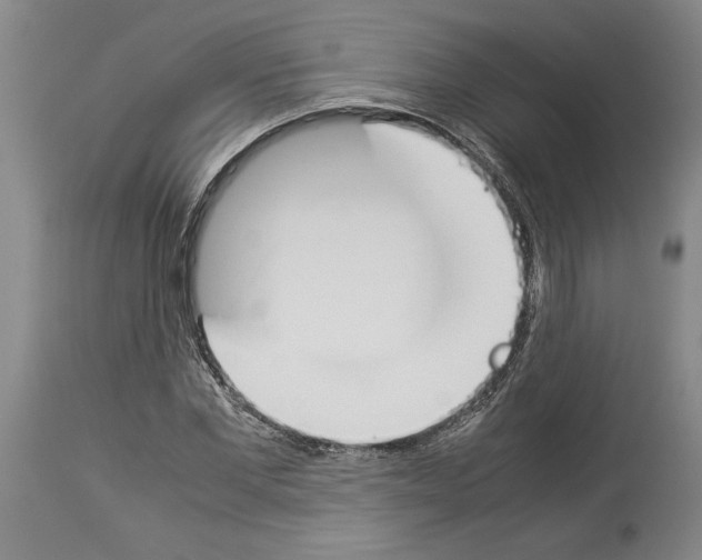 X0000113930877200911061217