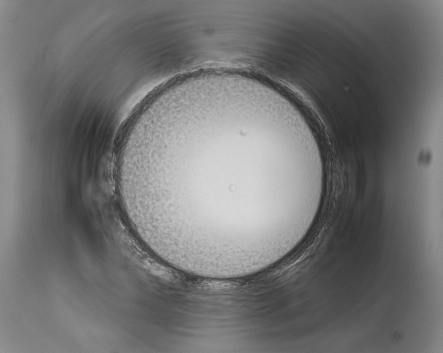 X0000113930878200911061217
