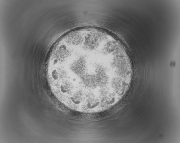 X0000113930879200911061217