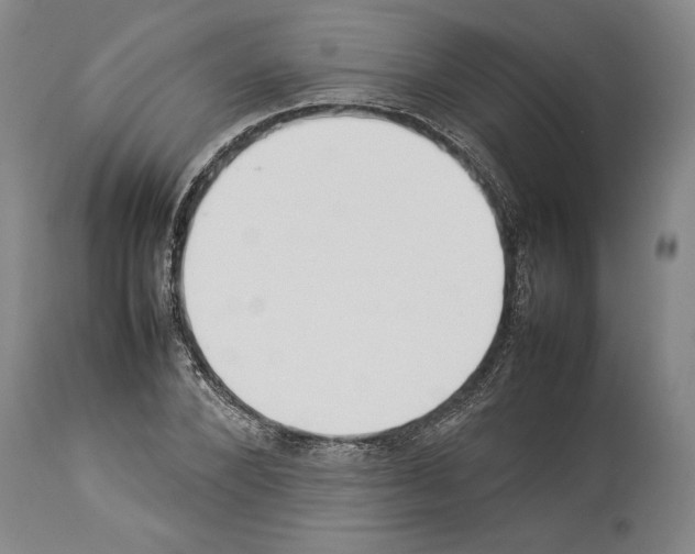 X0000113930880200911061216