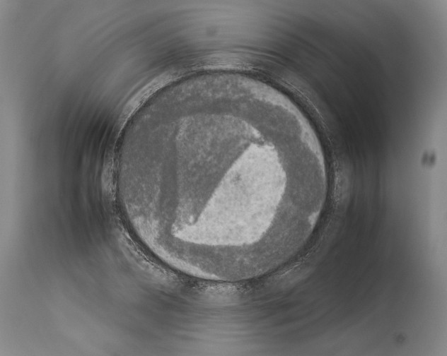 X0000113930882200911061216