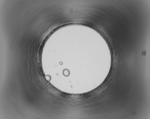 X0000113930883200911061216