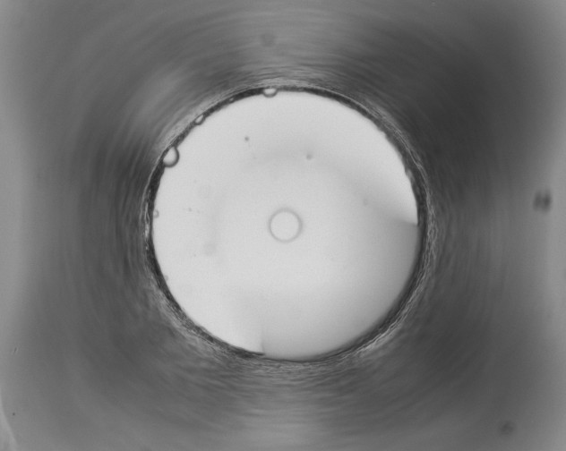 X0000113930885200911061216