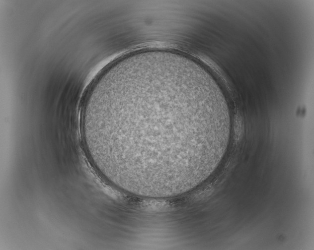 X0000113930886200911061216