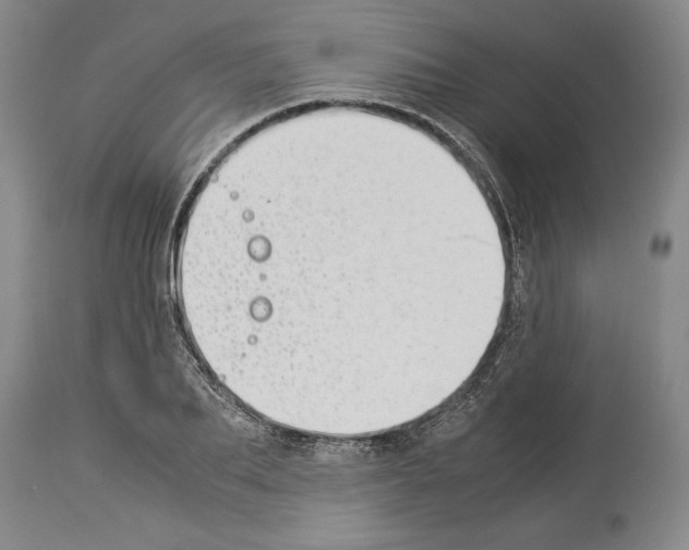 X0000113930887200911061216