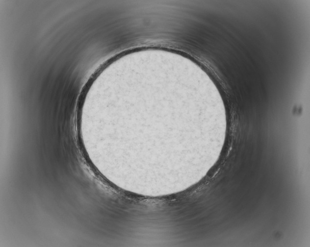 X0000113930888200911061216