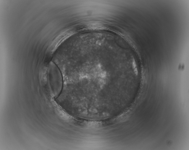 X0000113930889200911061216
