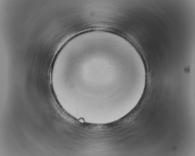 X0000113930891200911061216