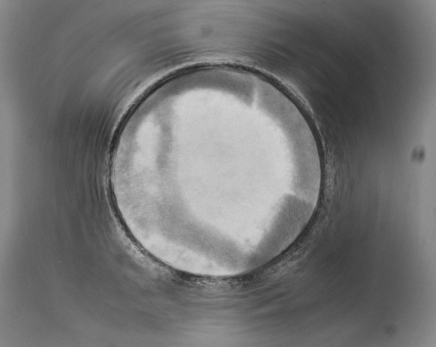 X0000113930895200911061216