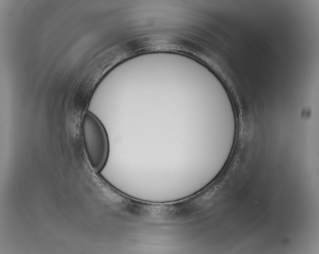 X0000113930897200911061216