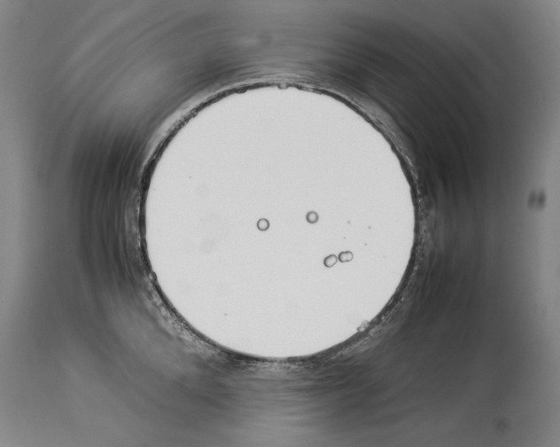X0000113930904200911061216