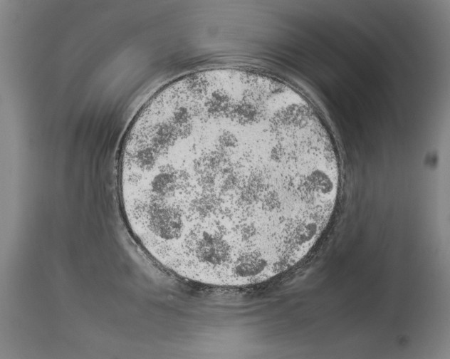 X0000113930907200911061216