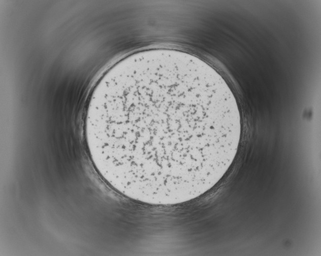 X0000113930908200911061216