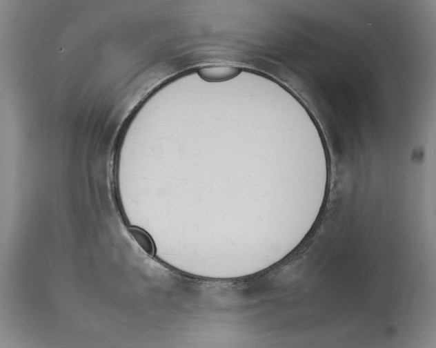 X0000113930909200911061216