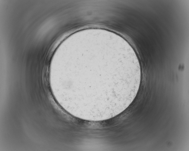 X0000113930911200911061216