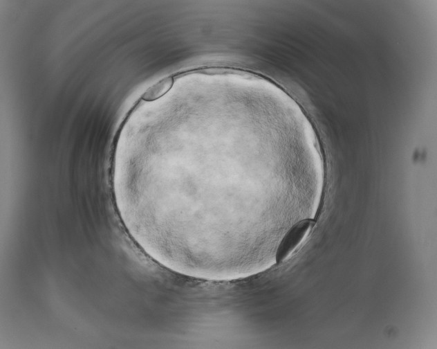 X0000113930912200911061216