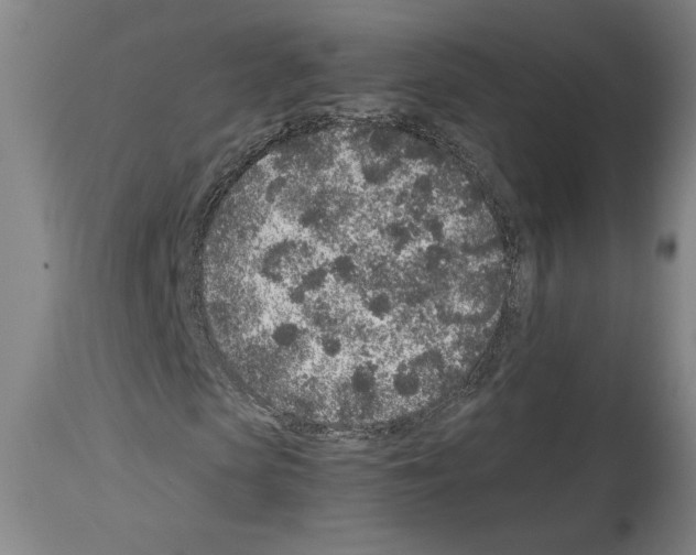 X0000113930913200911061215