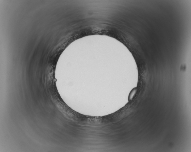 X0000113930914200911061215