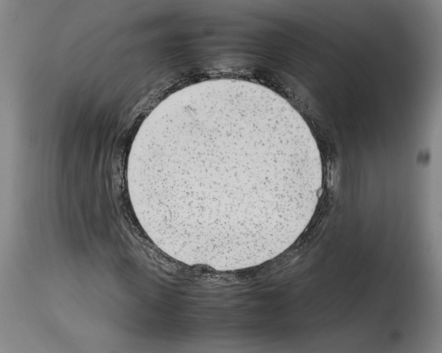 X0000113930915200911061215