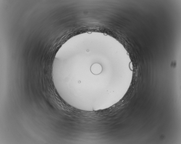 X0000113930916200911061215
