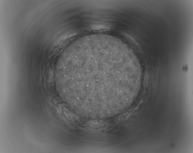 X0000113930917200911061215