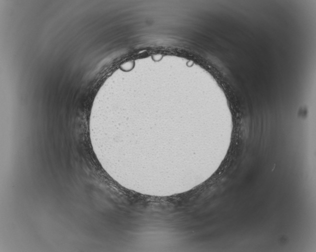 X0000113930918200911061215