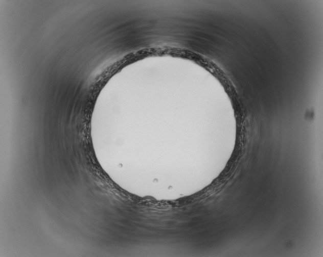 X0000113930919200911061215