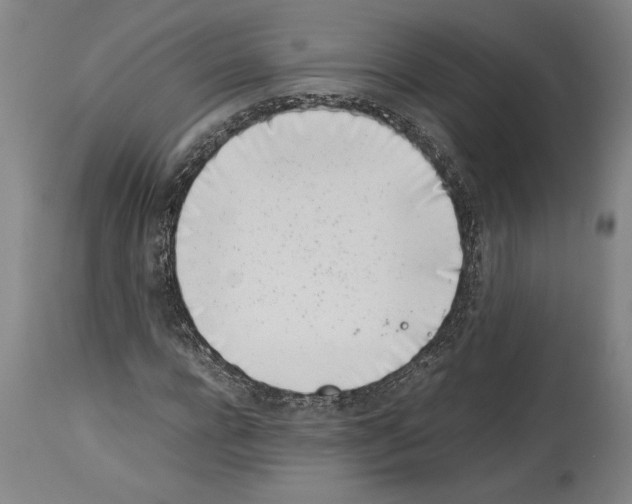 X0000113930920200911061215