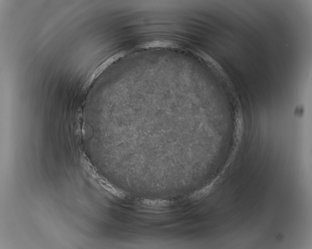 X0000113930921200911061216