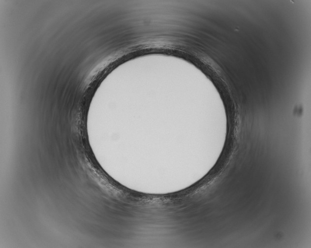 X0000113930922200911061216