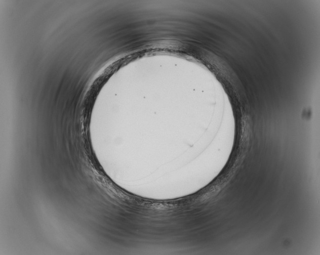 X0000113930923200911061216