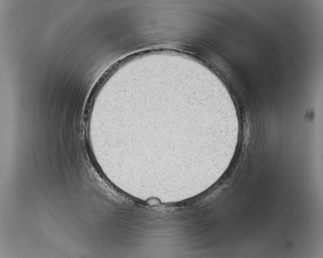 X0000113930924200911061216