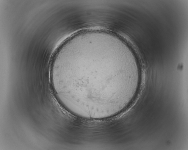 X0000113930925200911061216