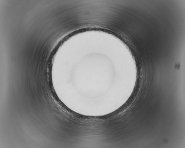 X0000113930926200911061216