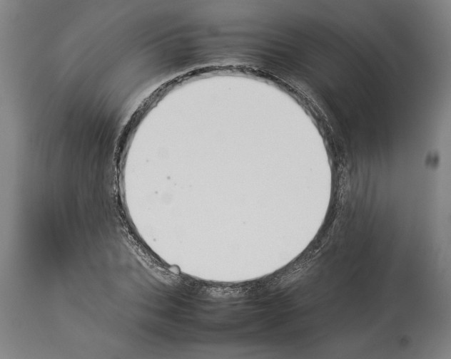 X0000113930927200911061216