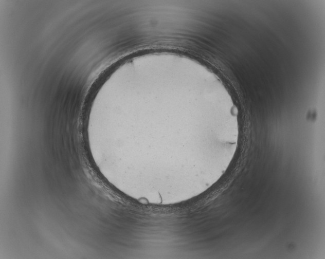 X0000113930928200911061216