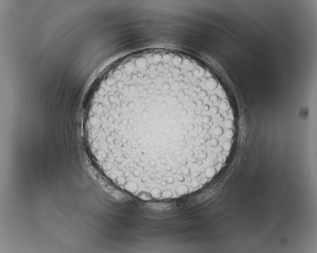 X0000113930931200911061216