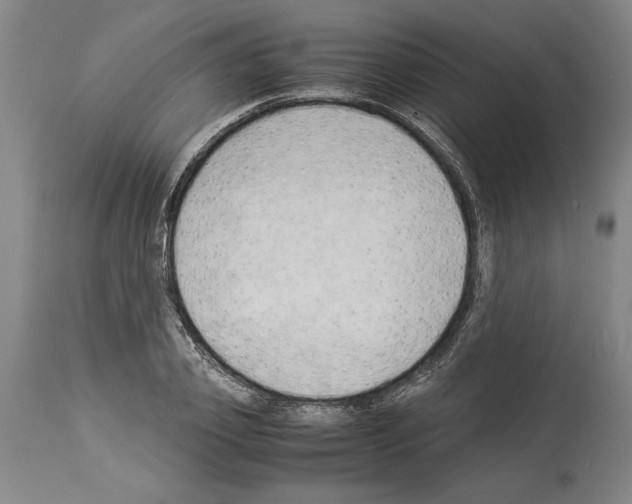 X0000113930933200911061216